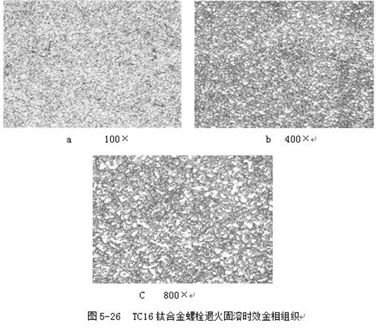 TC16鈦合金螺栓退火固溶時效金相組織