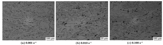 圖６ 在９８０ ℃、不同應(yīng)變速率下壓縮至應(yīng)變量為７０％后GH４１６９合金的顯微組織