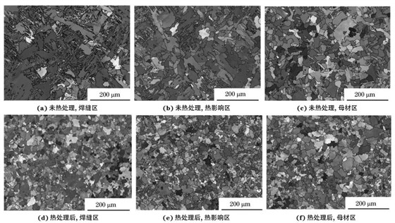 圖２ 熱處理前后焊接接頭焊縫區(qū)、熱影響區(qū)和母材區(qū)的取向成像圖