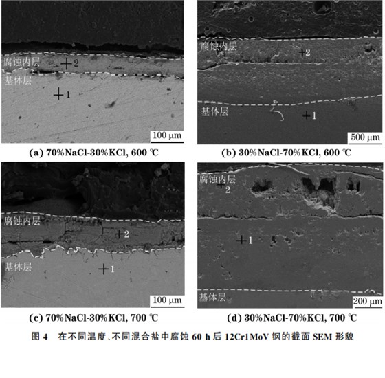 在不同溫度、不同混合鹽中腐蝕６０h后１２Cr１MoV鋼的截面SEM 形貌