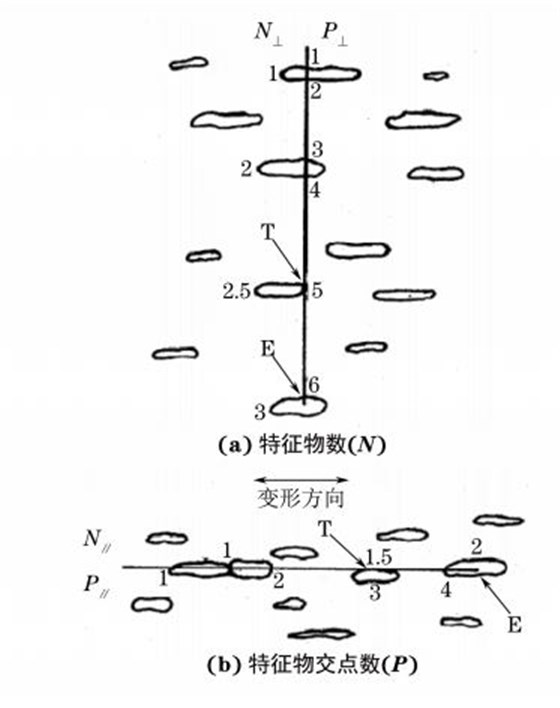 圖２ 顯微組織的特征物數(shù)(N)和特征物交點數(shù)(P)計算示意圖