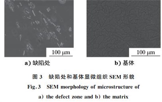 圖３ 缺陷處和基體顯微組織SEM 形貌