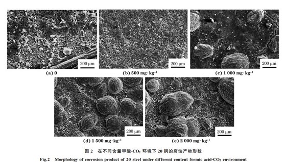 圖２ 在不同含量甲酸ＧCO２ 環(huán)境下２０鋼的腐蝕產物形貌