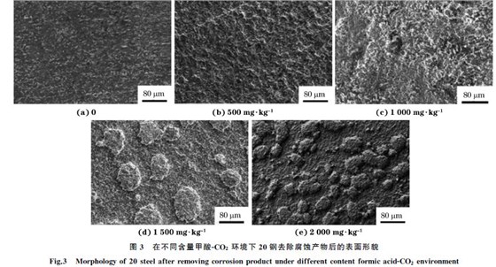 圖３ 在不同含量甲酸ＧCO２ 環(huán)境下２０鋼去除腐蝕產物后的表面形貌