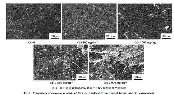 圖５ 在不同含量甲酸ＧCO２ 環(huán)境下１３Cr鋼的腐蝕產物形貌