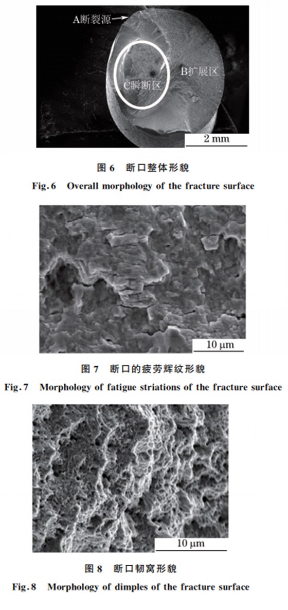 圖８ 斷口韌窩形貌