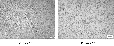 ML16CrSiNi長托板螺母未熱處理的金相組織，可見變形痕跡