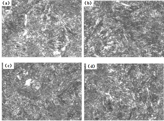 圖12-15 （a、b、c、d） 1～4號(hào)樣金相組織 500×