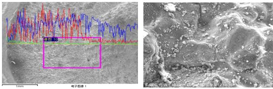 圖13-23 斷面能譜分析 斷面圓弧區(qū)微觀(guān)形貌