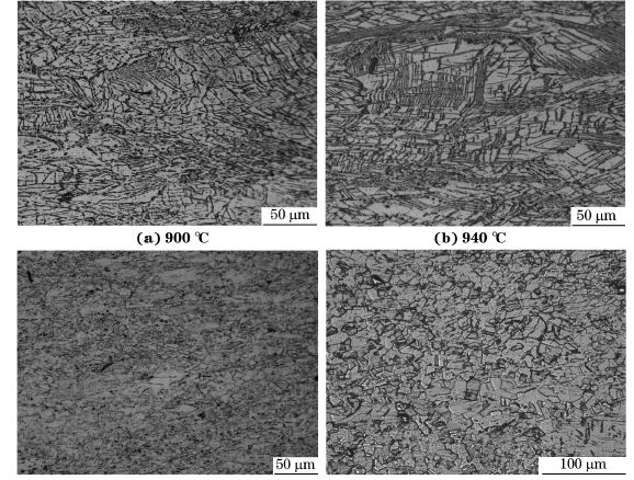 圖５ 在不同溫度、應(yīng)變速率為０．０１０s－１下壓縮至應(yīng)變量為７０％后GH４１６９合金的顯微組織