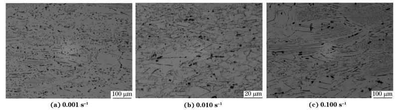 圖６ 在９８０ ℃、不同應(yīng)變速率下壓縮至應(yīng)變量為７０％后GH４１６９合金的顯微組織