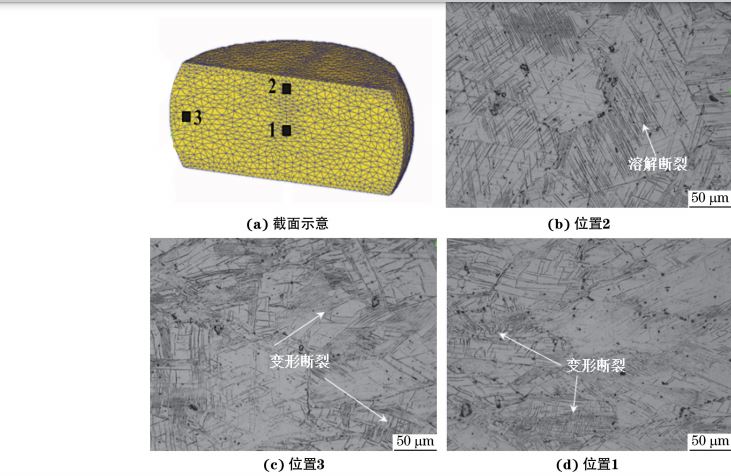 在９８０ ℃、應變速率為０．０１０s－１下壓縮至應變量為３０％后