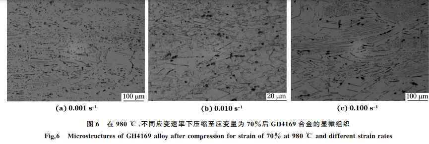 圖６ 在９８０ ℃、不同應變速率下壓縮至應變量為７０％