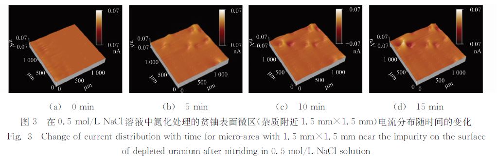 在０．５ｍｏｌ／ＬＮａＣｌ溶液中氮化處理的貧鈾表面微區(qū)