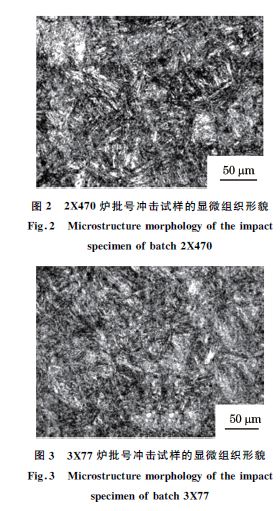 圖２ ２X４７０爐批號沖擊試樣的顯微組織形貌