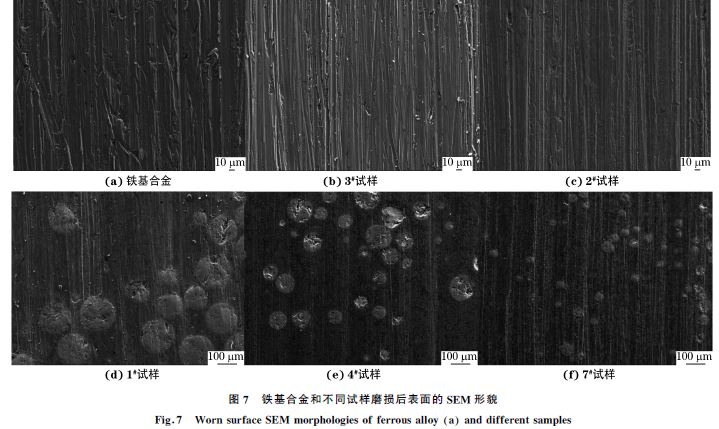 圖７ 鐵基合金和不同試樣磨損后表面的SEM 形貌