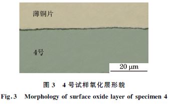 圖３ ４號試樣氧化層形貌