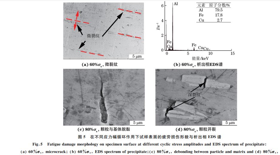 圖５ 在不同應(yīng)力幅循環(huán)作用下試樣表面的疲勞損傷形貌與析出相 EDS譜