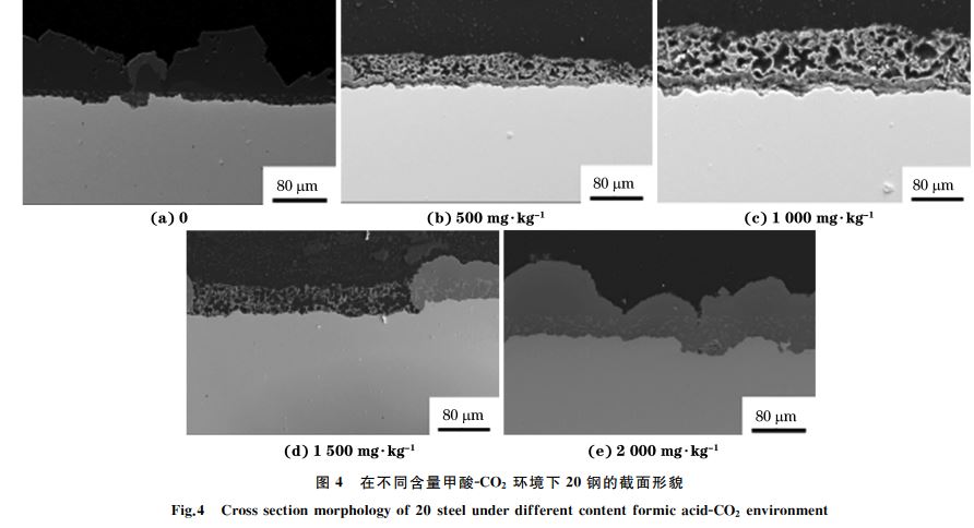 圖４ 在不同含量甲酸ＧCO２ 環(huán)境下２０鋼的截面形貌