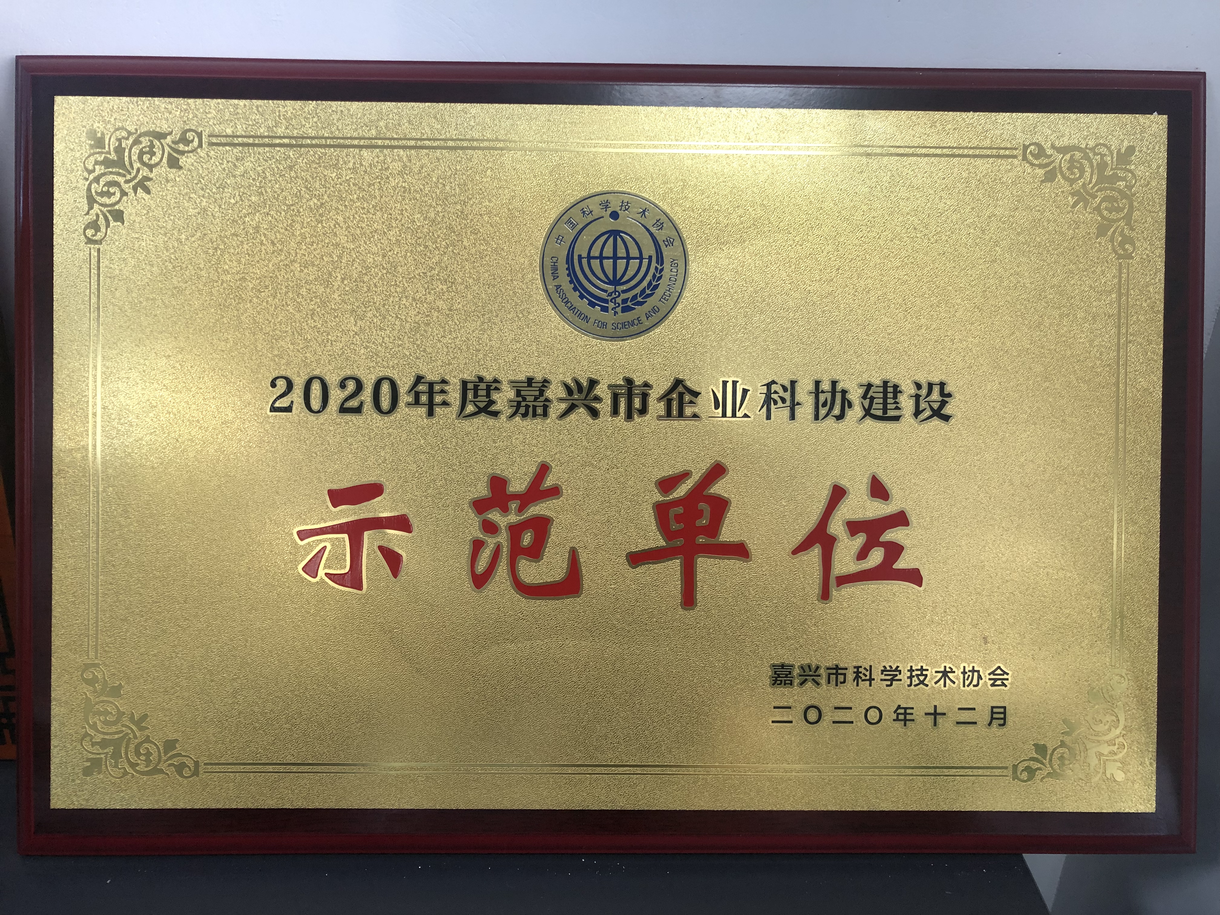 10 嘉興市企業(yè)科協(xié)建設“示范單位”